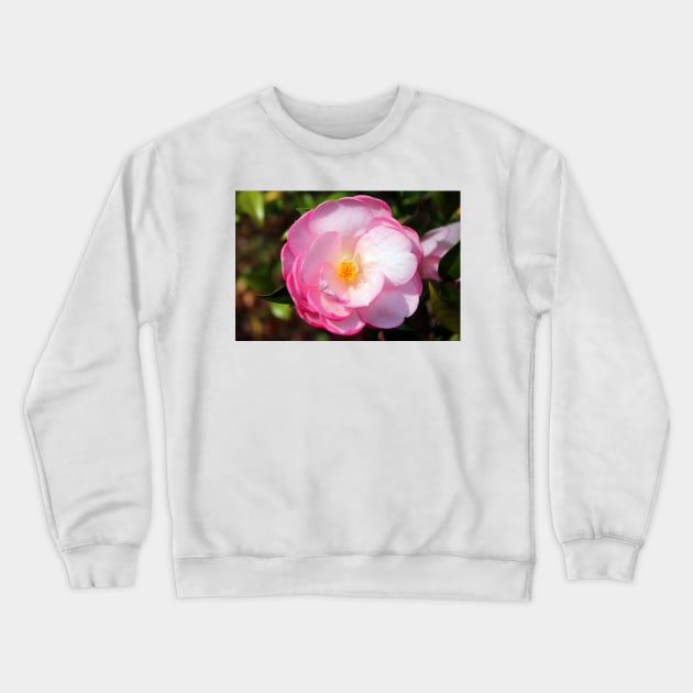 Pink Perfection Crewneck Sweatshirt by Cynthia48